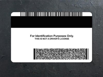 Minnesota ID Card PSD Template Download