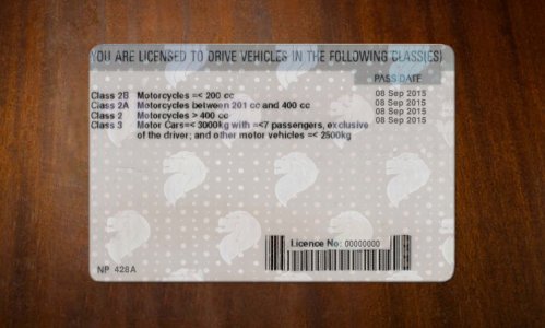 Singapore Driver license PSD Template Download
