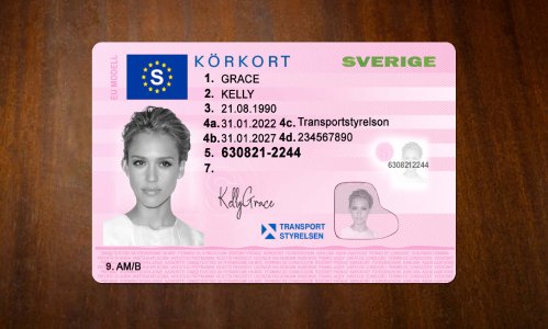 Sweden Driver license PSD Template Download