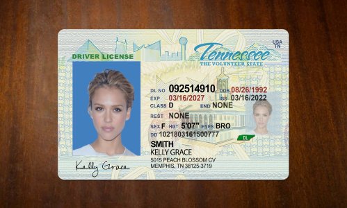 Tennessee Driver license PSD Template