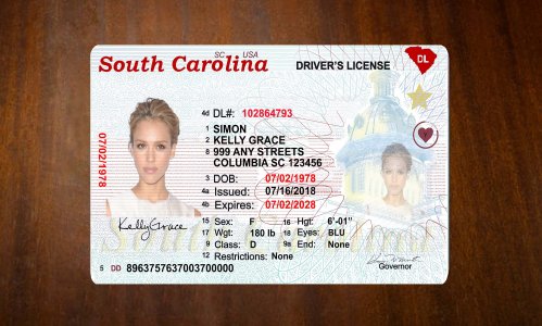 South Carolina Driver license PSD Template