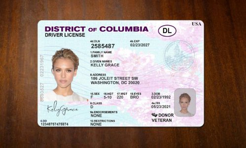 Columbia Driver license PSD Template