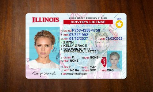 Illinois Driver license PSD Template