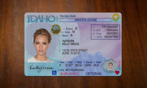 Idaho Driver license PSD Template