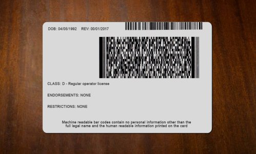 Idaho Driver license PSD Template