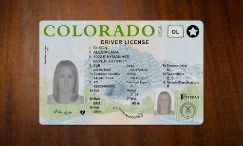 Colorado Driver license PSD Template