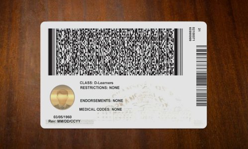 Arkansas Driver license PSD Template