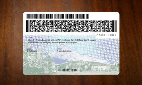 Oregon Driver license PSD Template