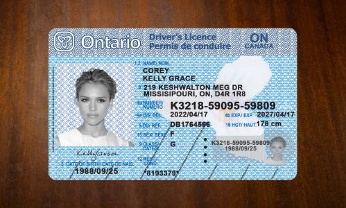 Ontario Driver license PSD Template Download