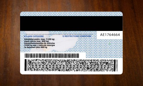 Ontario Driver license PSD Template Download
