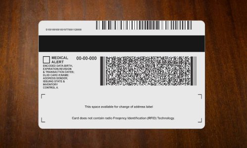 Michigan ID Card PSD Template Download