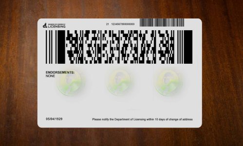 Washington Driver license PSD Template