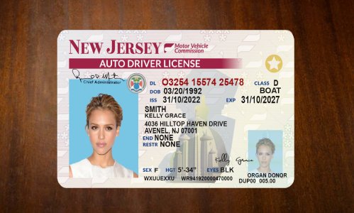 New Jersey Driver license PSD Template