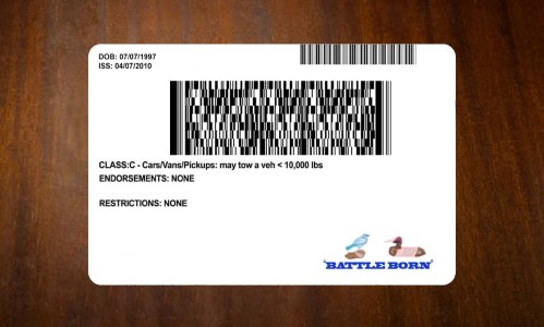 Neveda Driver license PSD Template