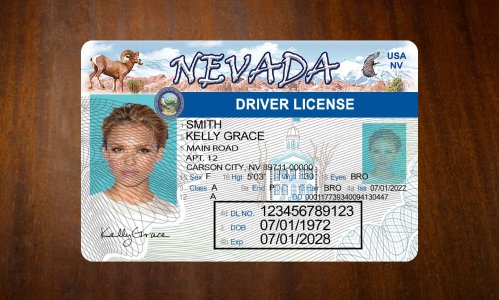 Neveda Driver license PSD Template