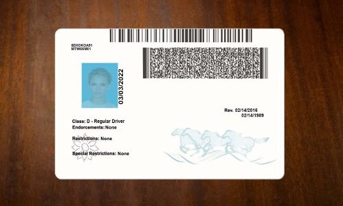 Montana Driver license PSD Template