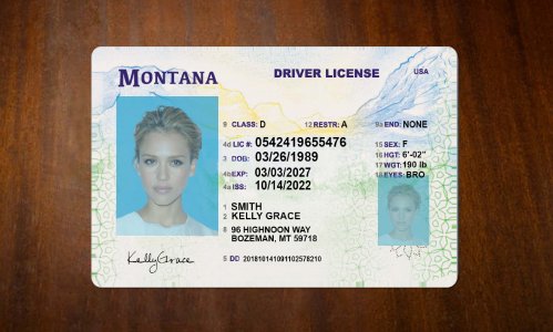 Montana Driver license PSD Template