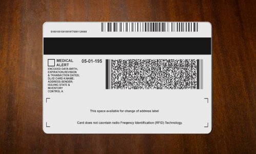 Michigan Driver license PSD Template