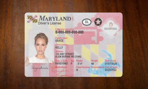 Maryland Driver license PSD Template