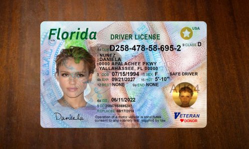 Florida Driver license PSD Template