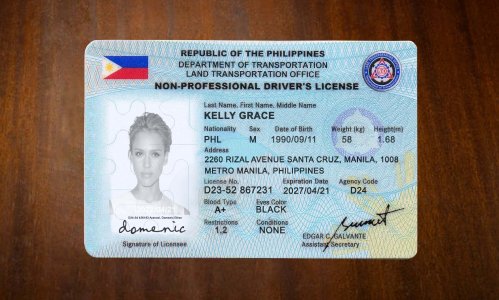 Phipplines Driver license PSD Template
