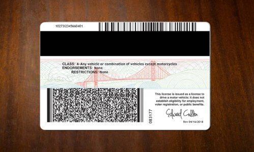 California Old Driving license PSD Free Download