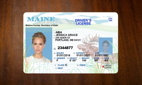 Maine Old Driving license PSD Free Download