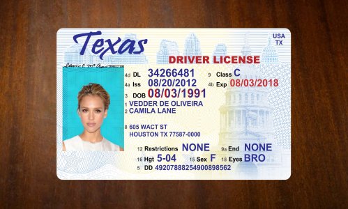 Texas Old Driving license PSD Free Download
